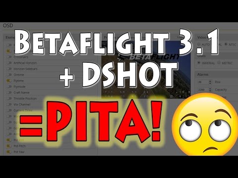 My Saga with DSHOT and Betaflight 3.1 - UCnJyFn_66GMfAbz1AW9MqbQ