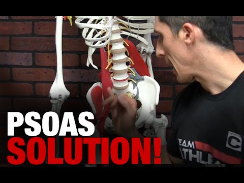 The Ultimate Hip Stretch and Mobility Drill (PSOAS SOLUTION!) - UCe0TLA0EsQbE-MjuHXevj2A