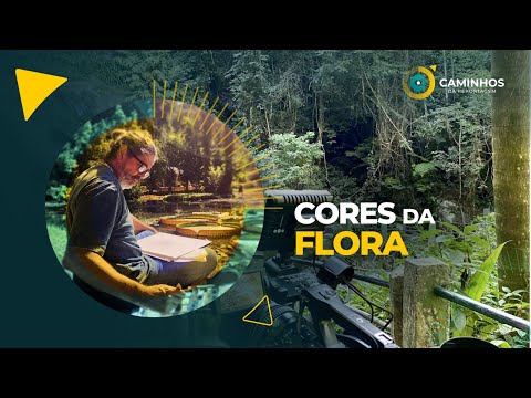 Caminhos da Reportagem | As Cores da Flora