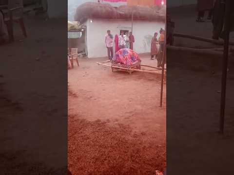 Pahadi #culture and #sport #pls yrrr #channel #subscribe🙏🙏