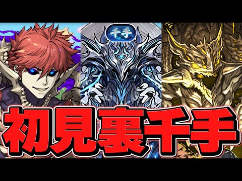 裏千手チャレンジ初見配信！クリアするまで終われません配信【パズドラ】