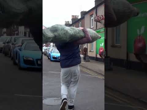 Collecting a Christmas tree with an Audi R8!