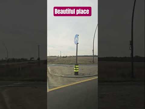 Forest area in russia #shortsfeed #russia #viral #shorts