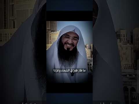 ٢٤ أكتوبر ٢٠٢٥