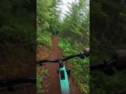 Riding the Forbidden DRUID Core – How does it feel? #mtb #emtb #mtblife