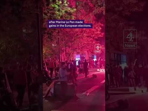Protests break out in France after EU vote