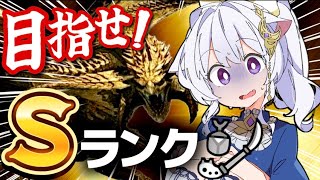 【モンハンワイルズ】操虫棍でソロSランク！王レ・ダウのフリーチャレンジクエスト🌟【モンスターハンターワイルズ/MonsterHunterWi