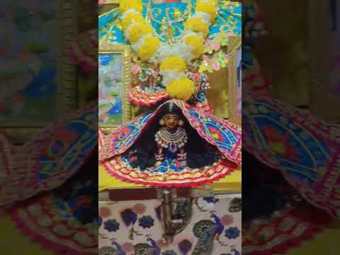 गिरिराज महाराज जी महा प्रसाद ओर दर्शन 🥰🥰#श्रीदर्शन