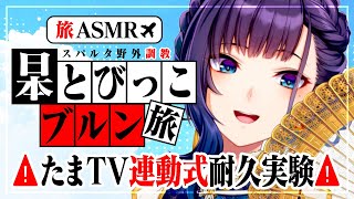 鳳翔・エレナ・ザングレ | VTuberチャンネル登録者数