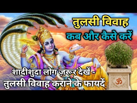 तुलसी विवाह कैसे करें। तुलसी विवाह पूजा विधि। Tulsi Vivah kaise karen