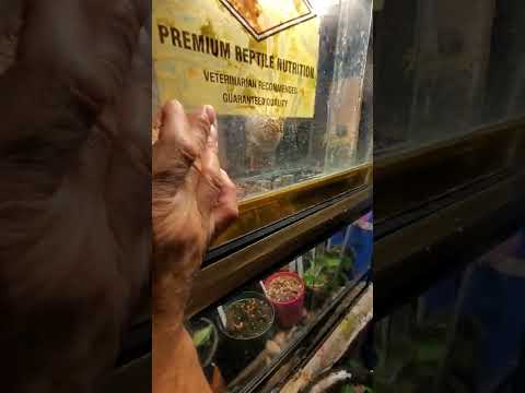 始めての冬越し室内の工夫