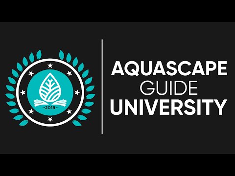 Check out ASG University! #AquascapeGuide #Aquascaping #plantedaquarium 

Ever dreamed of creating breathtaking underwater lan