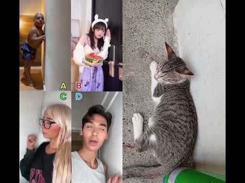 😸😬#cat #petsrule #cuteanimal #pets #pet #petcareprovider #petlover #petloversusa #petcareprovider