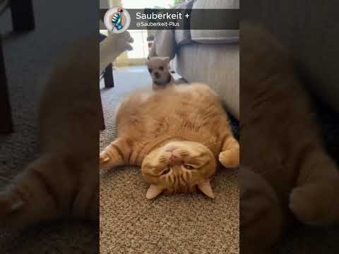 The mountain that fought back kinda