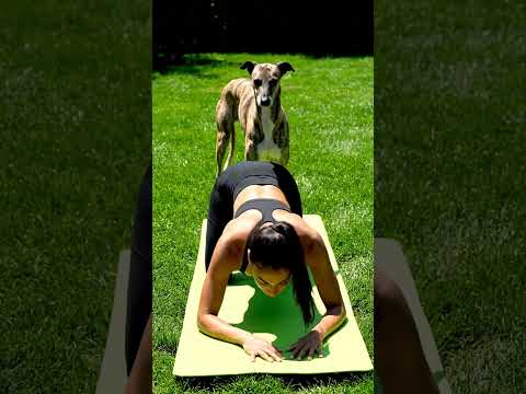 Love, Peace, and Paws #puppy #goldenretreiver #goldenretriever #goldenretreivers