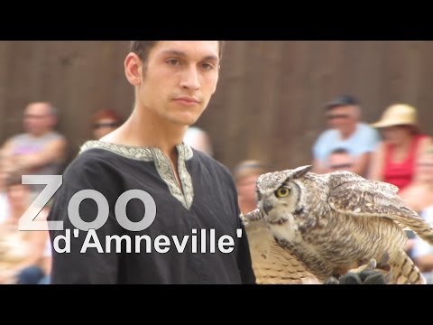 Greifvogelshow - Hoch zu Roß im  Zoo d' Amneville Frankreich - UCNWVhopT5VjgRdDspxW2IYQ