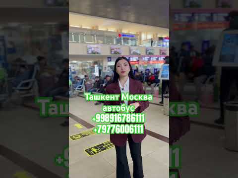 ташкент москва автобус #ташкент #москва #автобус #shorts #shortvideo #