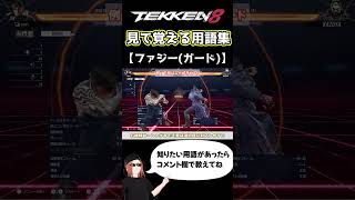 【鉄拳8】見て覚える用語集【ファジー(ガード)】