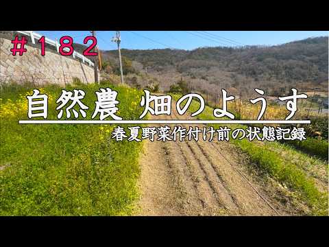 【自然農】春夏野菜作付け前の畑のようす