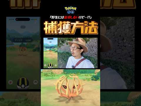 #ポケモン<strong>go</strong> #初登場 #アノクサ #フィールドリサーチ #タスク #秋の遠足 #<strong>shorts</strong>