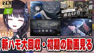 【#鳴潮】  予告番組決まったし、過去動画を見直さない？？👀 / 2K1440p #625  【#Vtuber Yomi】