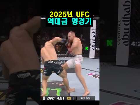 2025년 UFC 역대급 명경기
