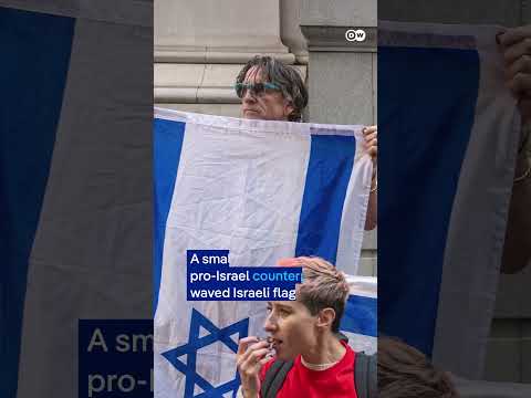 US: Police arrest over 200 pro-Palestinian demonstrators | DW News