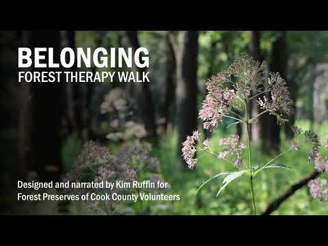 Belonging: Forest Therapy Walk