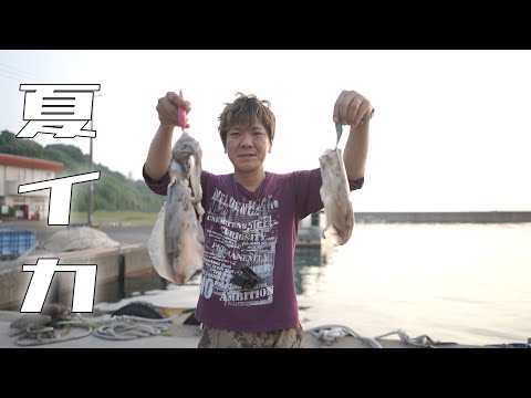 夏イカ釣れたぞ！