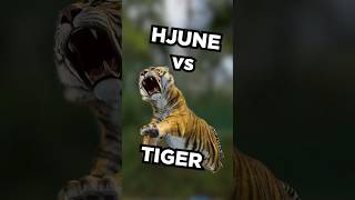YouTube thumbnail for hJune's video titled 'Tiger goes RAAAAAWRRR 🐯'