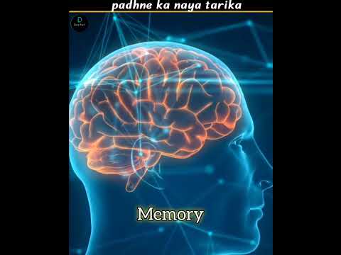 This Chewing Gum Trick Can Boost Your Memory #facts #deepfact