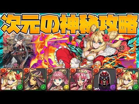 ロザリンで神秘の次元攻略！全キャラ対応！15分クリアで妖精チャレンジも！【パズドラ】