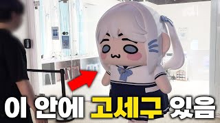 현실로 나온 버튜버