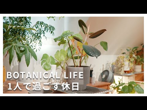 1人で過ごす休日...フィカスの寄せ植え｜せいろのある暮らし｜将来の夢について
