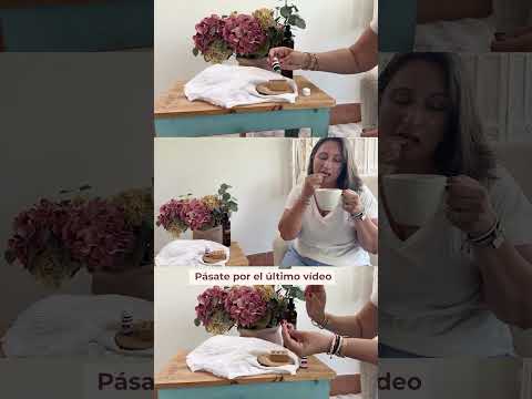 3 recetas para energía, estrés y bienestar hormonal con Endoflex