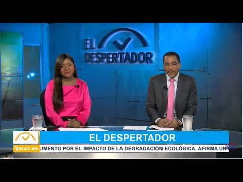 EN VIVO 19/10/2022 #ElDespertadorCompleto