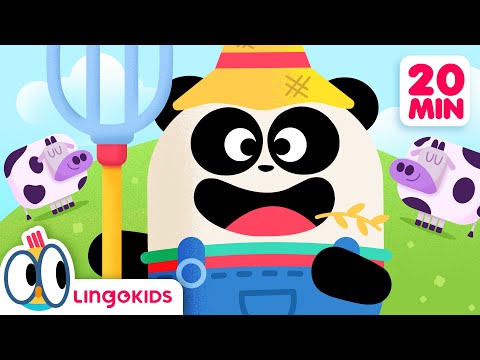 OLD MACDONALD HAD A FARM 👨🏼‍🌾🎶 + More Songs for Kids | Lingokids
