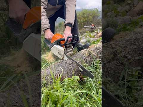 STIHL - MS 180 в роботі
