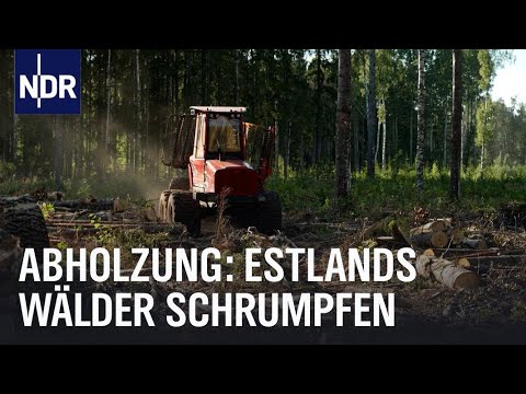 Estlands wilde Wälder | Ostseereport | NDR Doku