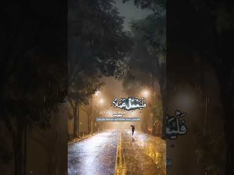 القارئ ماهر المعيقلي ايات القرآن