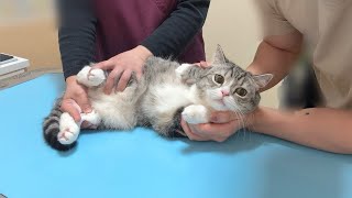 動画サムネイル