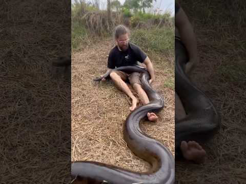 Survival #humor #trending #fishing #travel #viral #funny #viralvideo #shortsfeed