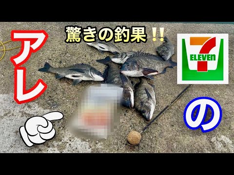 コンビニ商品でチヌ爆釣!驚きの釣法を大公開【紀州釣り.ウキダンゴ釣り】