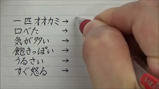 動画サムネイル