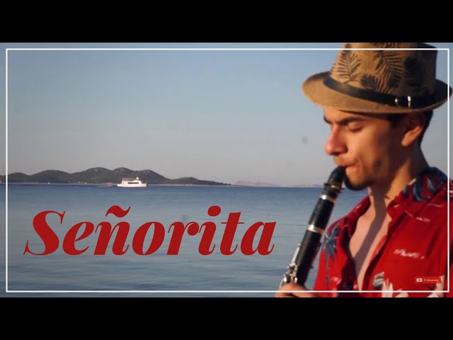 Clarinet Solo Pop Music- The Perfect Combination