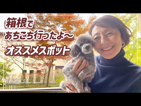 【Vlog】箱根でリフレッシュ〜いろいろ行ってきました！