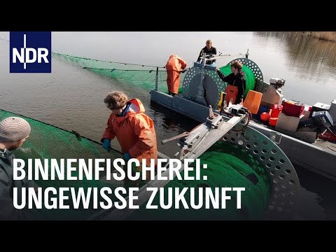 Die letzte Binnenfischerin | Die Nordreportage | NDR Doku