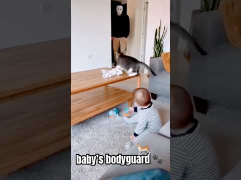 Cat Saves Baby from Masked Intruder 🐾💀