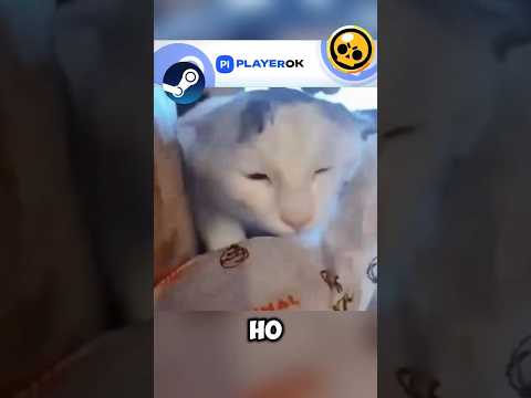 Хитрый кот 😋😋😋 #shorts