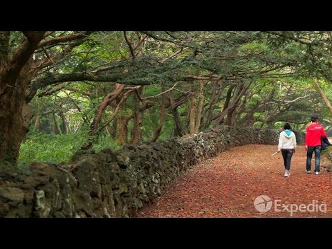 Bijarim Forest - City Video Guide - UCGaOvAFinZ7BCN_FDmw74fQ